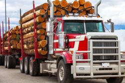 Equipment Transport | Construction Equipment Shipping